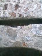 castlepark gate - 14410.jpg